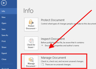 Click Manage Document