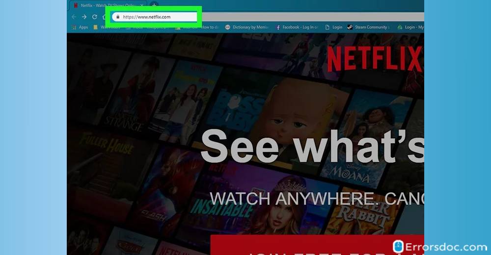 Visit - Netflix Site error